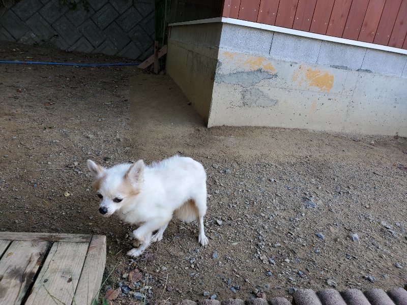 f:id:roukenhome-ann:20191003152908j:plain