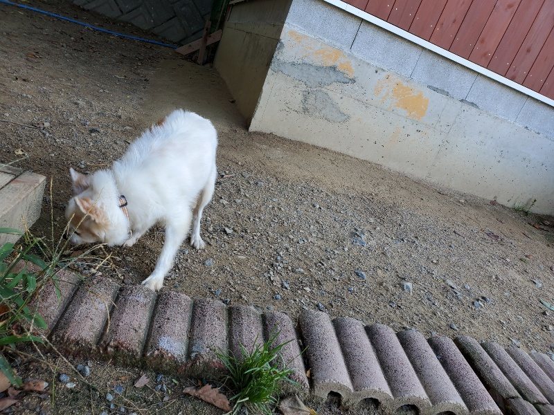 f:id:roukenhome-ann:20191003152914j:plain