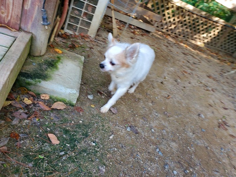 f:id:roukenhome-ann:20191003152929j:plain