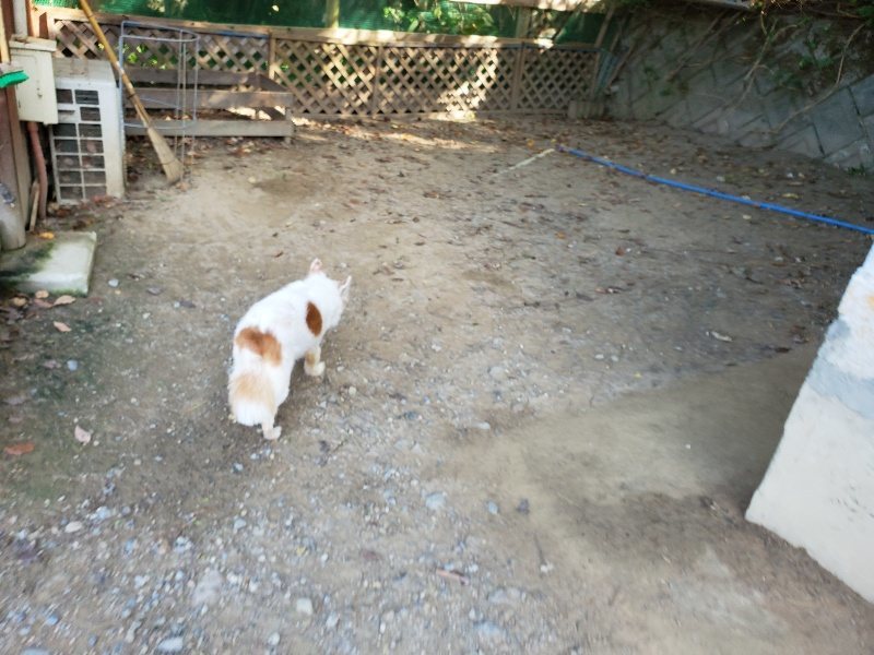 f:id:roukenhome-ann:20191003152950j:plain