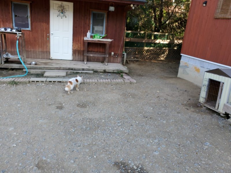 f:id:roukenhome-ann:20191003153000j:plain