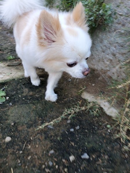 f:id:roukenhome-ann:20191003153017j:plain