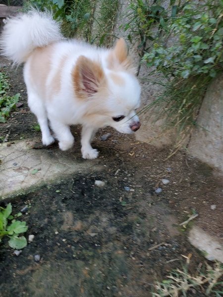 f:id:roukenhome-ann:20191003153027j:plain