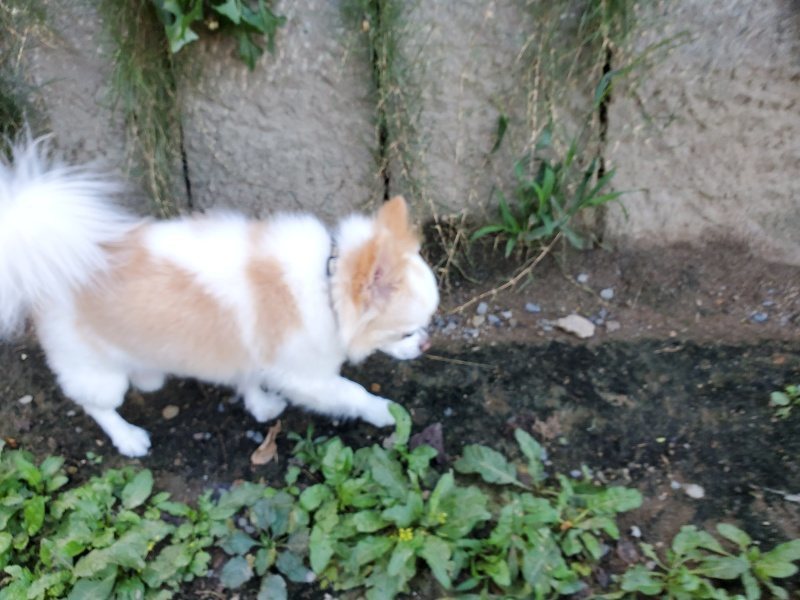 f:id:roukenhome-ann:20191003153039j:plain