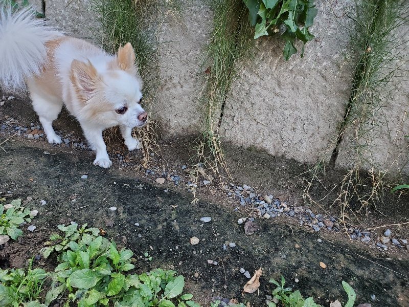 f:id:roukenhome-ann:20191003153050j:plain