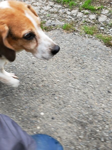 f:id:roukenhome-ann:20191003153103j:plain