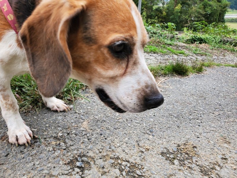 f:id:roukenhome-ann:20191003153115j:plain