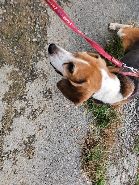 f:id:roukenhome-ann:20191003153121j:plain