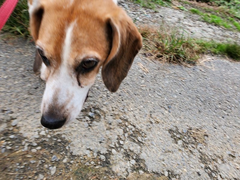f:id:roukenhome-ann:20191003153127j:plain