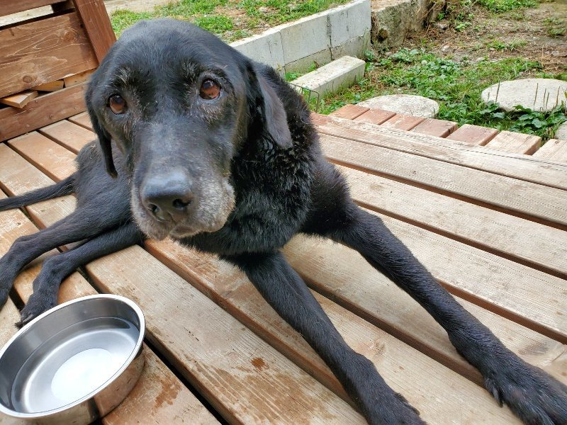 f:id:roukenhome-ann:20191003153133j:plain