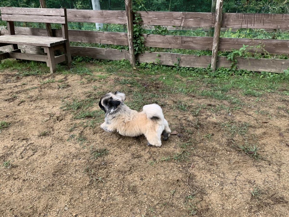 f:id:roukenhome-ann:20191005075513j:plain