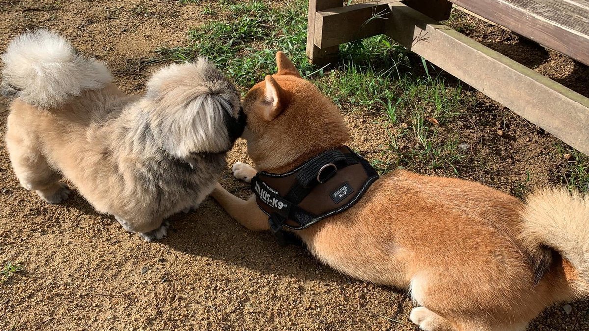 f:id:roukenhome-ann:20191005075529j:plain