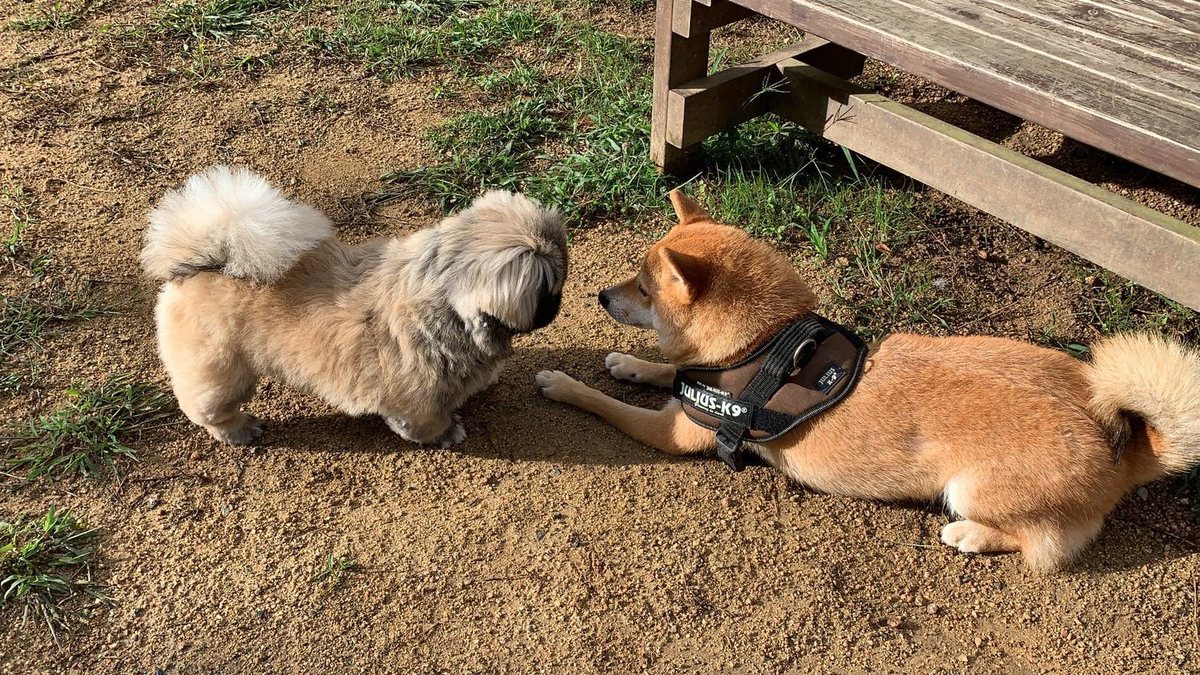 f:id:roukenhome-ann:20191005075543j:plain