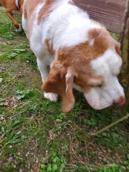 f:id:roukenhome-ann:20191005075717j:plain f:id:roukenhome-ann:20191005075717j:plain