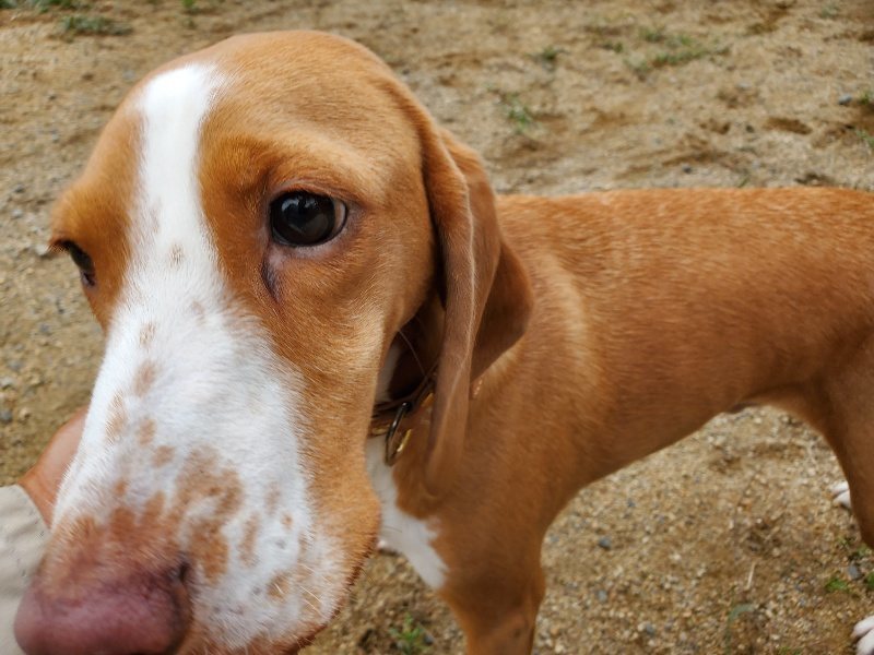 f:id:roukenhome-ann:20191005075723j:plain f:id:roukenhome-ann:20191005075723j:plain