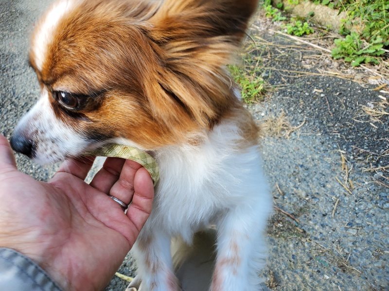 f:id:roukenhome-ann:20191006204856j:plain