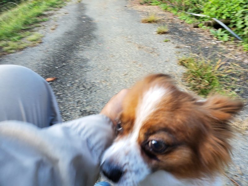 f:id:roukenhome-ann:20191006204913j:plain