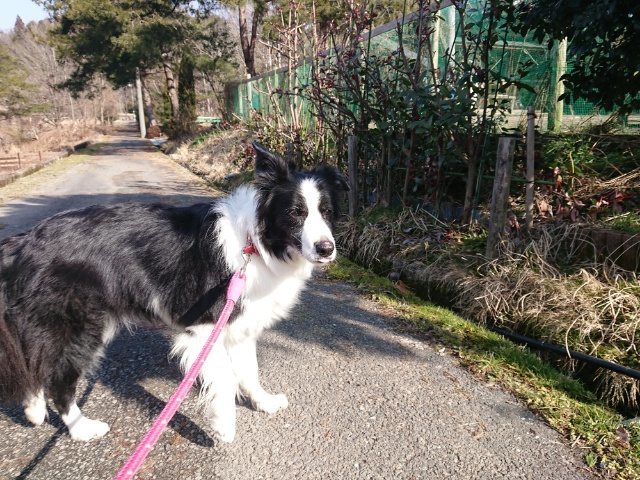 f:id:roukenhome-ann:20191007124705j:plain f:id:roukenhome-ann:20191007124705j:plain