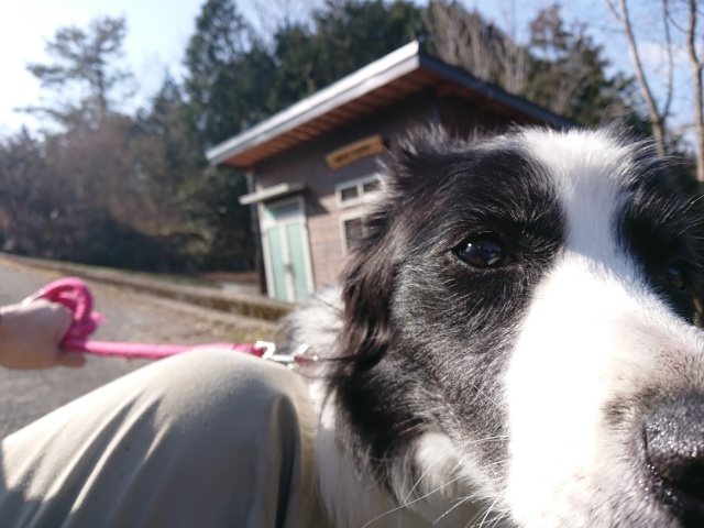 f:id:roukenhome-ann:20191007124710j:plain f:id:roukenhome-ann:20191007124710j:plain