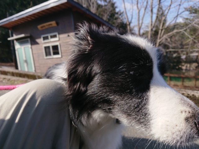 f:id:roukenhome-ann:20191007124713j:plain f:id:roukenhome-ann:20191007124713j:plain