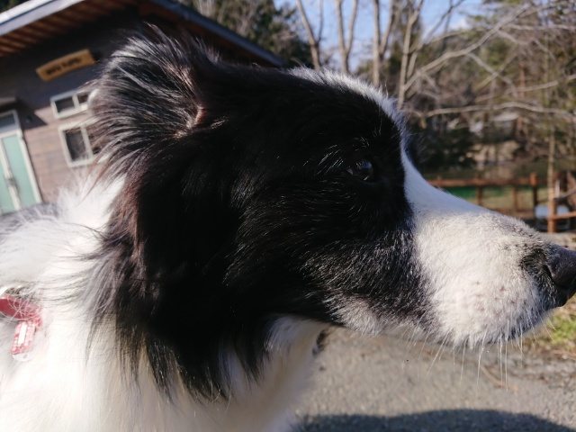 f:id:roukenhome-ann:20191007124717j:plain f:id:roukenhome-ann:20191007124717j:plain