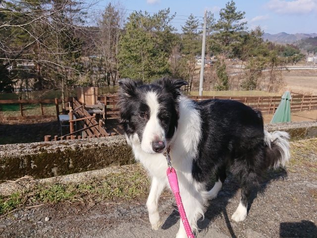 f:id:roukenhome-ann:20191007124723j:plain f:id:roukenhome-ann:20191007124723j:plain