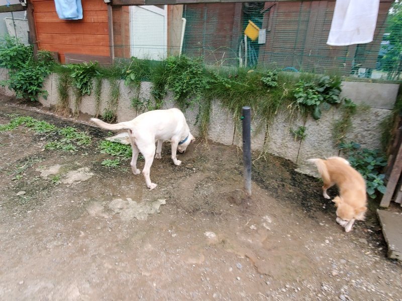 f:id:roukenhome-ann:20191007184821j:plain f:id:roukenhome-ann:20191007184821j:plain