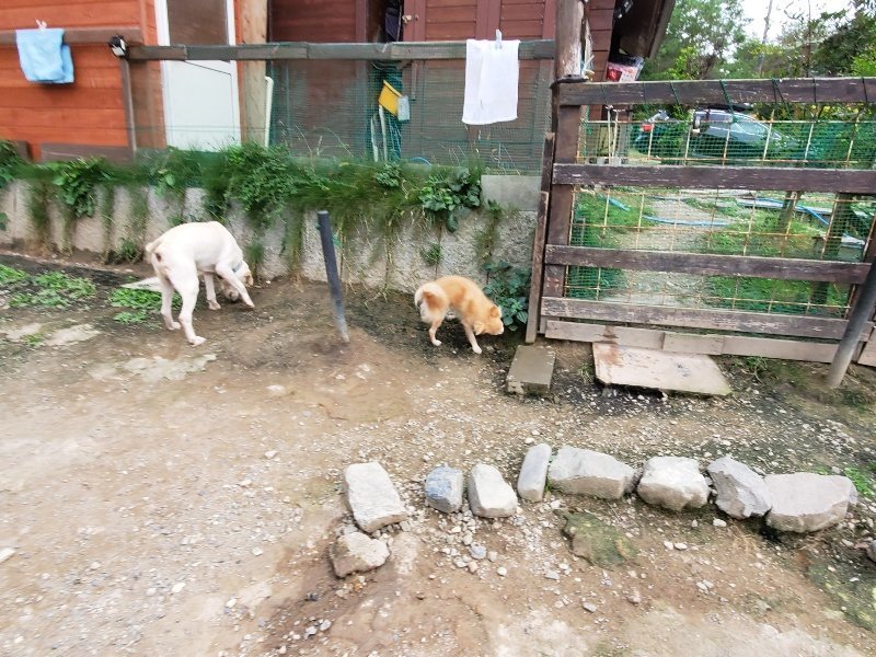 f:id:roukenhome-ann:20191007184830j:plain f:id:roukenhome-ann:20191007184830j:plain