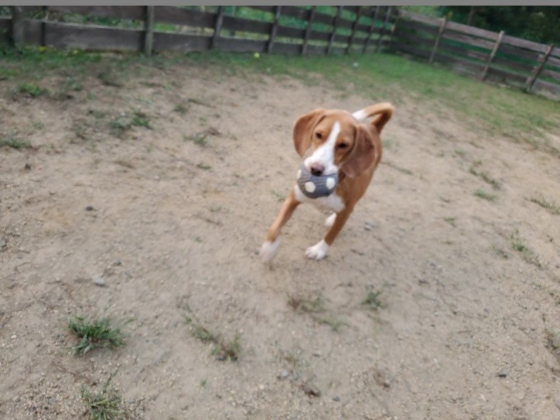 f:id:roukenhome-ann:20191007184859j:plain f:id:roukenhome-ann:20191007184859j:plain