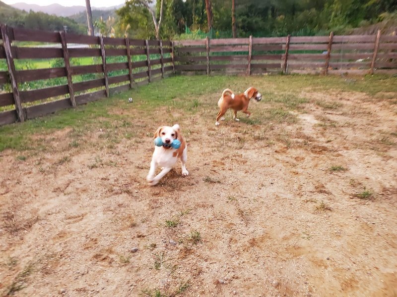 f:id:roukenhome-ann:20191007184923j:plain f:id:roukenhome-ann:20191007184923j:plain