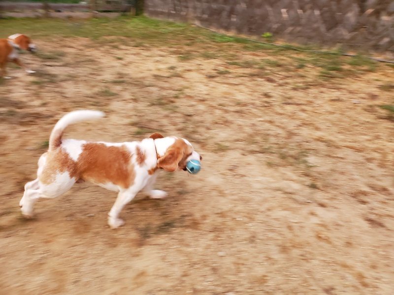 f:id:roukenhome-ann:20191007184933j:plain f:id:roukenhome-ann:20191007184933j:plain