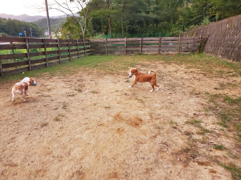 f:id:roukenhome-ann:20191007184946j:plain f:id:roukenhome-ann:20191007184946j:plain