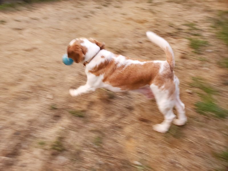 f:id:roukenhome-ann:20191007184952j:plain f:id:roukenhome-ann:20191007184952j:plain