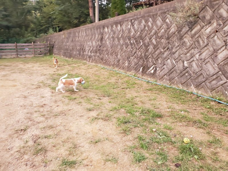 f:id:roukenhome-ann:20191007185001j:plain f:id:roukenhome-ann:20191007185001j:plain