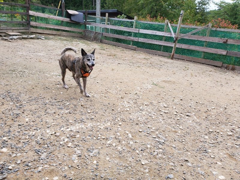 f:id:roukenhome-ann:20191007185028j:plain f:id:roukenhome-ann:20191007185028j:plain