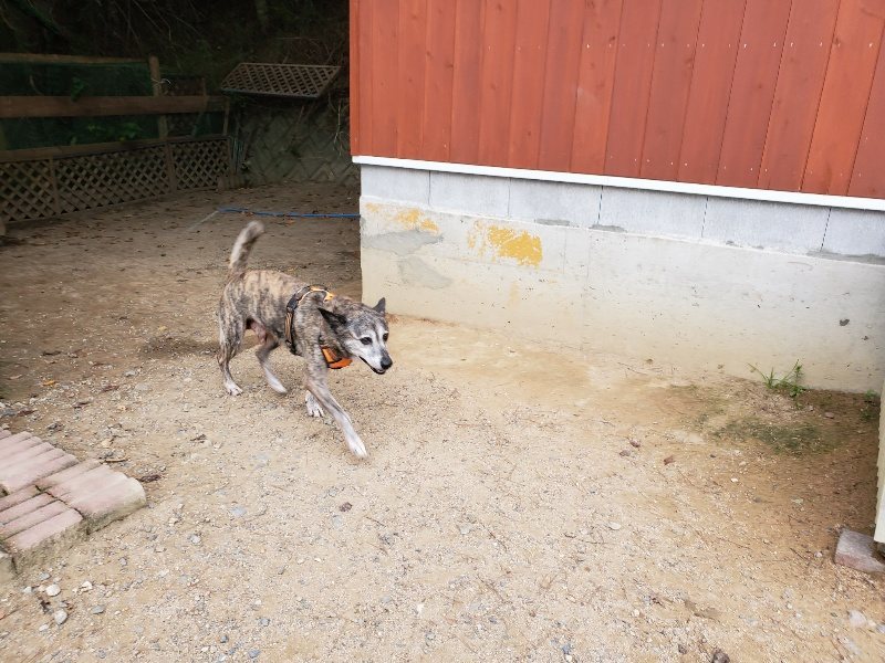 f:id:roukenhome-ann:20191007185035j:plain f:id:roukenhome-ann:20191007185035j:plain