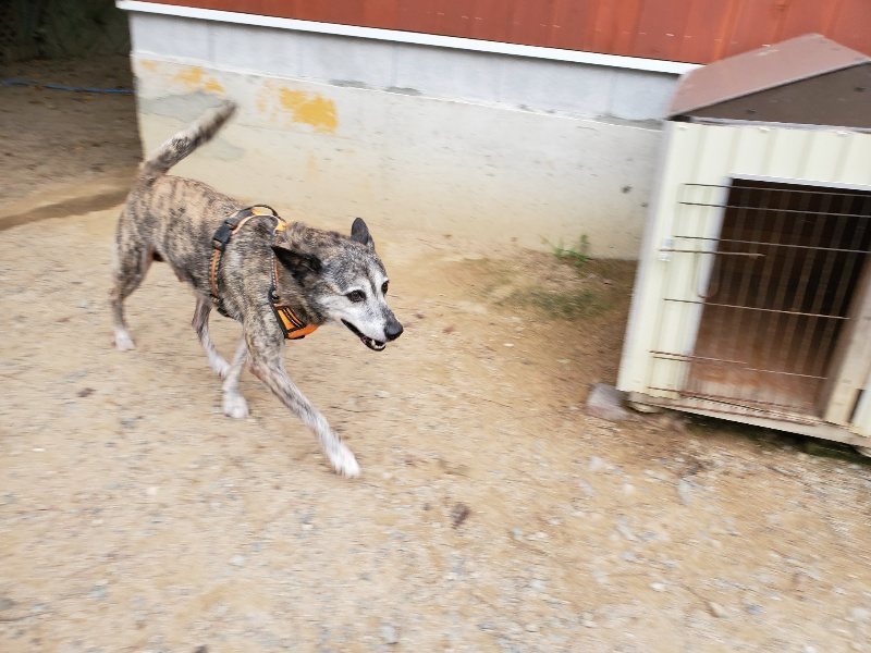 f:id:roukenhome-ann:20191007185052j:plain f:id:roukenhome-ann:20191007185052j:plain