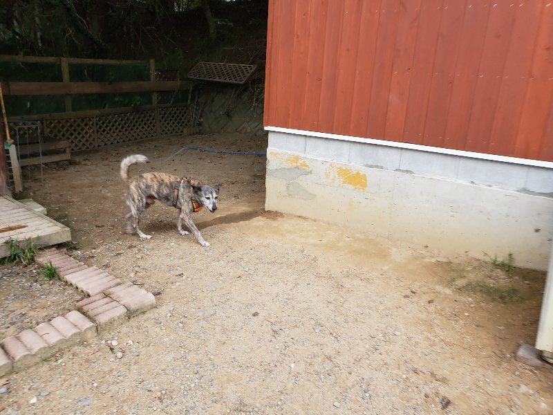 f:id:roukenhome-ann:20191007185059j:plain f:id:roukenhome-ann:20191007185059j:plain