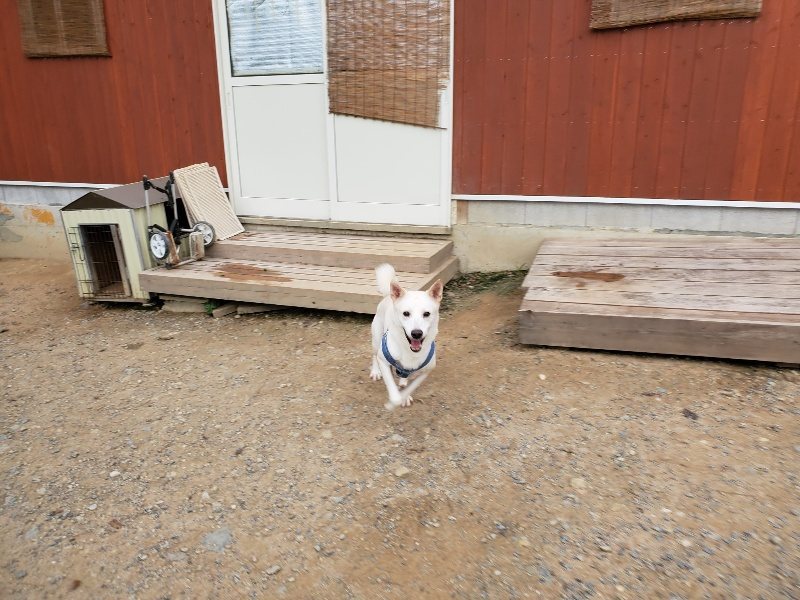 f:id:roukenhome-ann:20191007185118j:plain f:id:roukenhome-ann:20191007185118j:plain