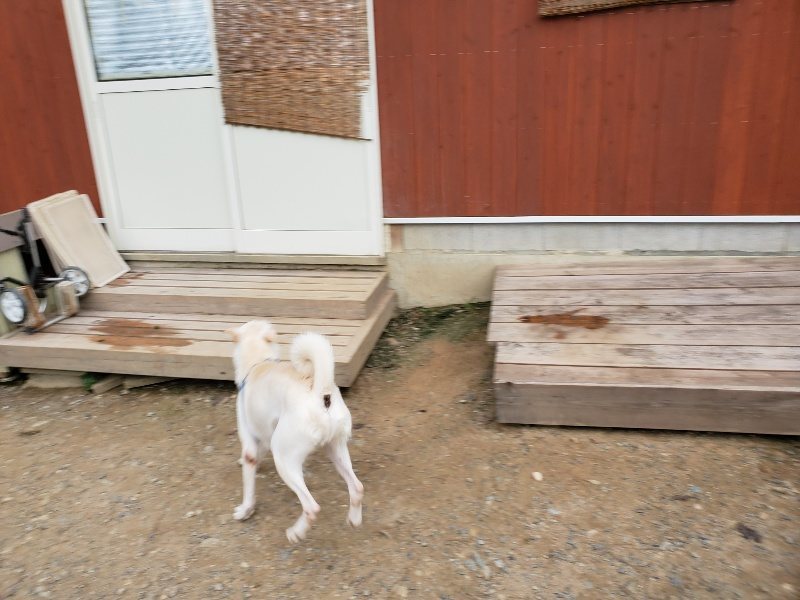 f:id:roukenhome-ann:20191007185126j:plain f:id:roukenhome-ann:20191007185126j:plain