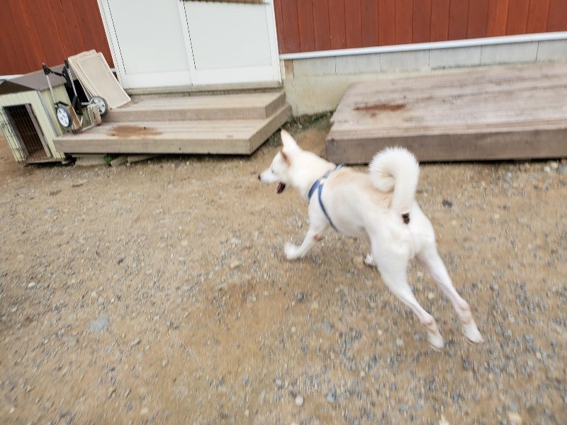 f:id:roukenhome-ann:20191007185134j:plain f:id:roukenhome-ann:20191007185134j:plain