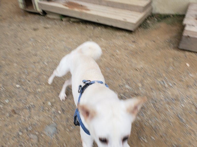 f:id:roukenhome-ann:20191007185142j:plain f:id:roukenhome-ann:20191007185142j:plain