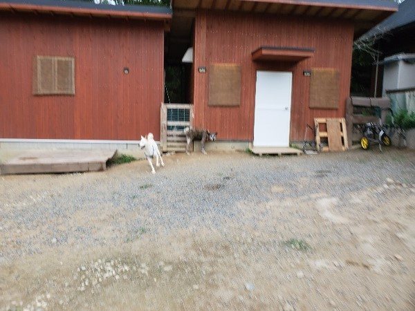 f:id:roukenhome-ann:20191007185202j:plain f:id:roukenhome-ann:20191007185202j:plain