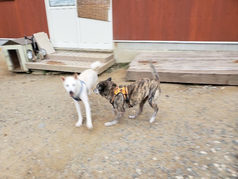 f:id:roukenhome-ann:20191007185210j:plain f:id:roukenhome-ann:20191007185210j:plain