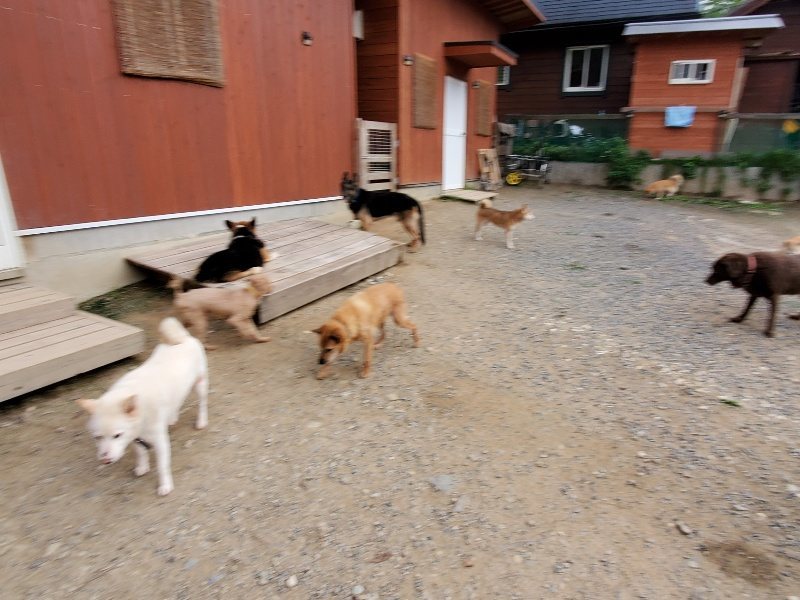 f:id:roukenhome-ann:20191007185218j:plain f:id:roukenhome-ann:20191007185218j:plain