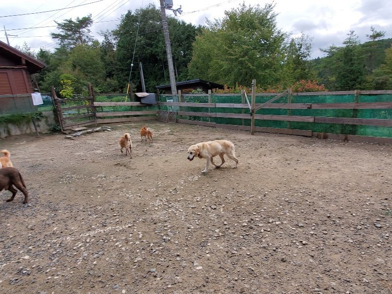 f:id:roukenhome-ann:20191007185229j:plain f:id:roukenhome-ann:20191007185229j:plain