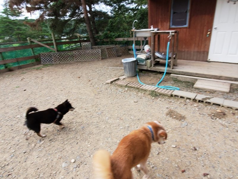 f:id:roukenhome-ann:20191007185239j:plain f:id:roukenhome-ann:20191007185239j:plain
