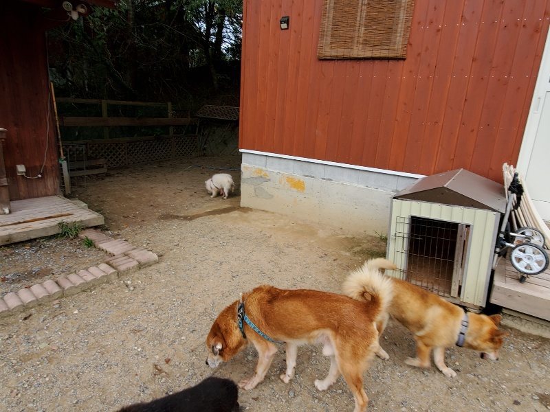 f:id:roukenhome-ann:20191007185257j:plain f:id:roukenhome-ann:20191007185257j:plain
