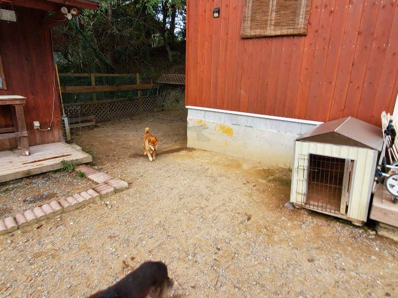 f:id:roukenhome-ann:20191007185312j:plain f:id:roukenhome-ann:20191007185312j:plain