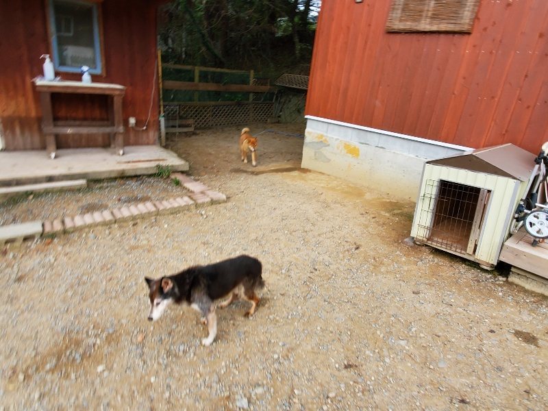 f:id:roukenhome-ann:20191007185320j:plain f:id:roukenhome-ann:20191007185320j:plain